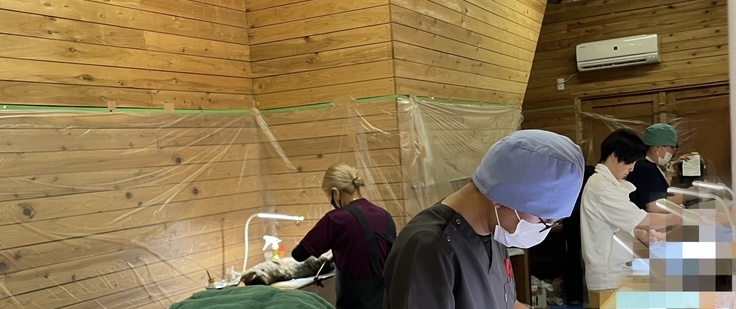 いながき動物病院・東金分院　３月の手術のお知らせ